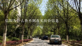 信阳为什么查不到真实房价信息