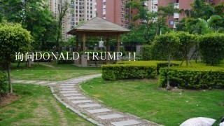 询问DONALD TRUMP !!