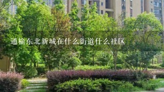 通榆东北新城在什么街道什么社区