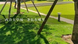 西青大学城1条街在哪里