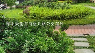 枣阳天伦首府坐几路公交车到