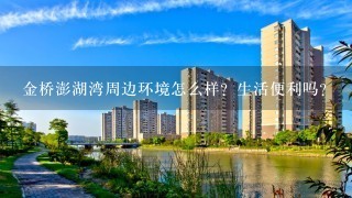 金桥澎湖湾周边环境怎么样？生活便利吗？