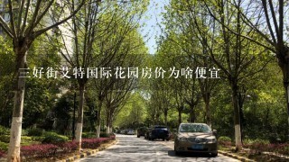 3好街艾特国际花园房价为啥便宜