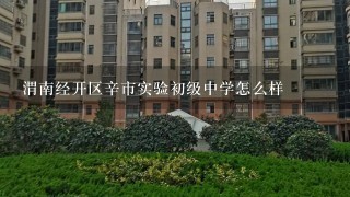 渭南经开区辛市实验初级中学怎么样