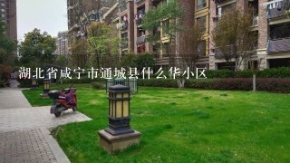 湖北省咸宁市通城县什么华小区