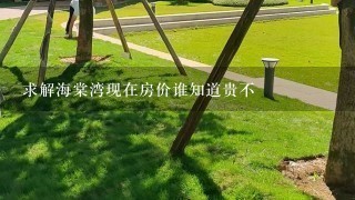 求解海棠湾现在房价谁知道贵不