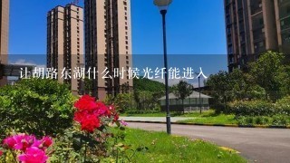 让胡路东湖什么时候光纤能进入