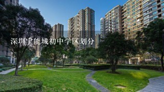 深圳宝能城初中学区划分