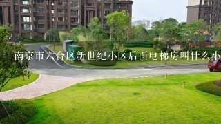 南京市6合区新世纪小区后面电梯房叫什么小区