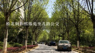 桥北到和熙臻苑坐几路公交