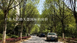 户县人民路天慧国际的房价