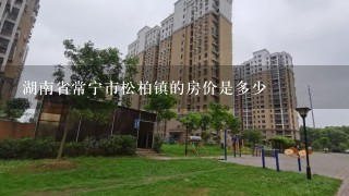 湖南省常宁市松柏镇的房价是多少