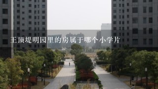 王顶堤明园里的房属于哪个小学片