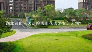 湖北通山人民法院洪雨花离婚案怎么判？