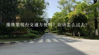 维维紫悦台交通方便吗？应该怎么过去？