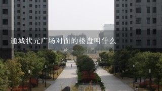 通城状元广场对面的楼盘叫什么