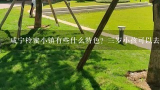 咸宁柃蜜小镇有些什么特色？3岁小孩可以去玩吗？