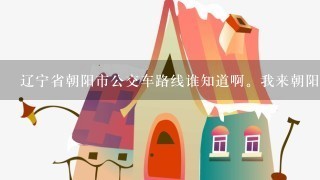 辽宁省朝阳市公交车路线谁知道啊。我来朝阳快2年了就，就是做不明白公交。