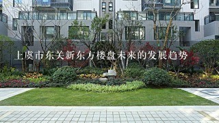 上虞市东关新东方楼盘未来的发展趋势