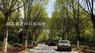 湖北省老河口市房价