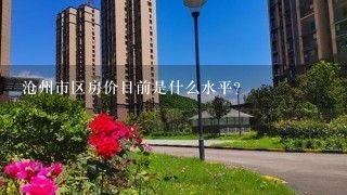 沧州市区房价目前是什么水平？