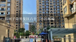 石河子市开发区6十3小区邮编