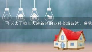 今天去了镇江大港新区的万科金域蓝湾，感觉不错，现在买入性价比怎么样呀？