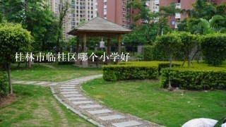 桂林市临桂区哪个小学好