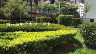 海花岛房价多少1平米