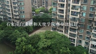 石家庄白求恩和天使学院哪个比较好