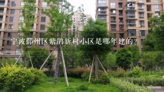 宁波鄞州区紫鹃新村小区是哪年建的？