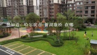 想知道: 哈尔滨市 新湖康桥 在哪