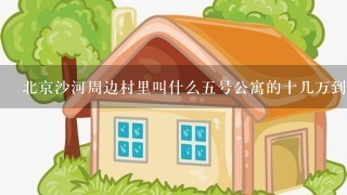 北京沙河周边村里叫什么5号公寓的十几万到3十几万