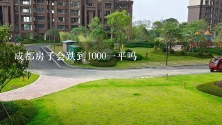 成都房子会跌到10001平吗