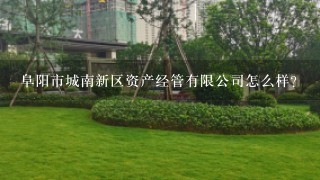 阜阳市城南新区资产经管有限公司怎么样？