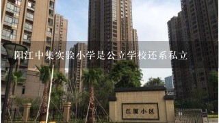 阳江中集实验小学是公立学校还系私立