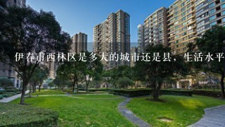 伊春市西林区是多大的城市还是县，生活水平怎么样