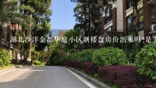 湖北沙洋金都华庭小区新楼盘房价出来吗?是多少？