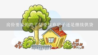 房价要真的跌了是要放弃房子还是继续供贷