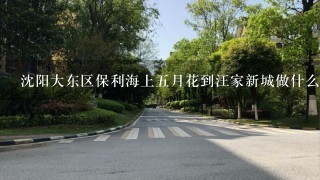 沈阳大东区保利海上5月花到汪家新城做什么车