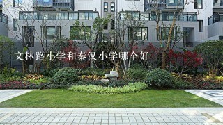 文林路小学和秦汉小学哪个好