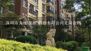 深圳市天地(集团)股份有限公司是国企吗