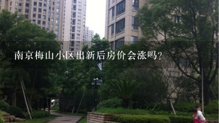 南京梅山小区出新后房价会涨吗？