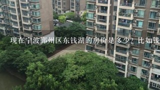 现在宁波鄞州区东钱湖的房价是多少？比如钱湖人家啊，什么的，尽量详细点，谢谢