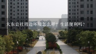 大东公社周边环境怎么样？生活便利吗？