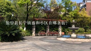 长宁县长宁镇盛和小区在哪条街?