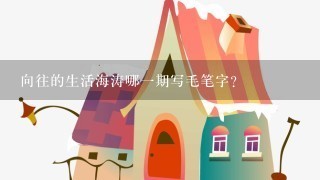 向往的生活海涛哪1期写毛笔字？