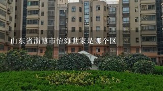 山东省淄博市怡海世家是哪个区