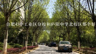 合肥45中工业区分校和庐阳中学北校区那个好