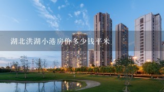 湖北洪湖小港房价多少钱平米